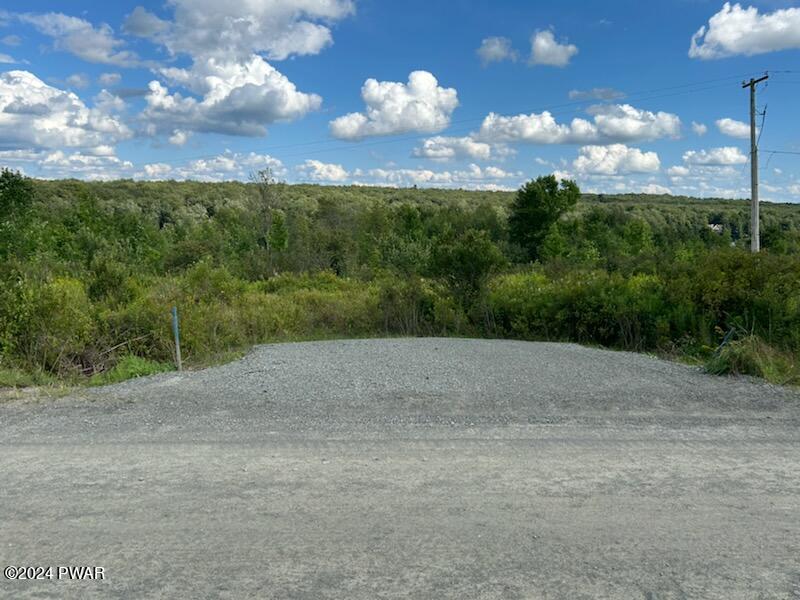 Lot R-c2 Spruce Lake Road Thompson, PA 18465 - Photo 20 of 20