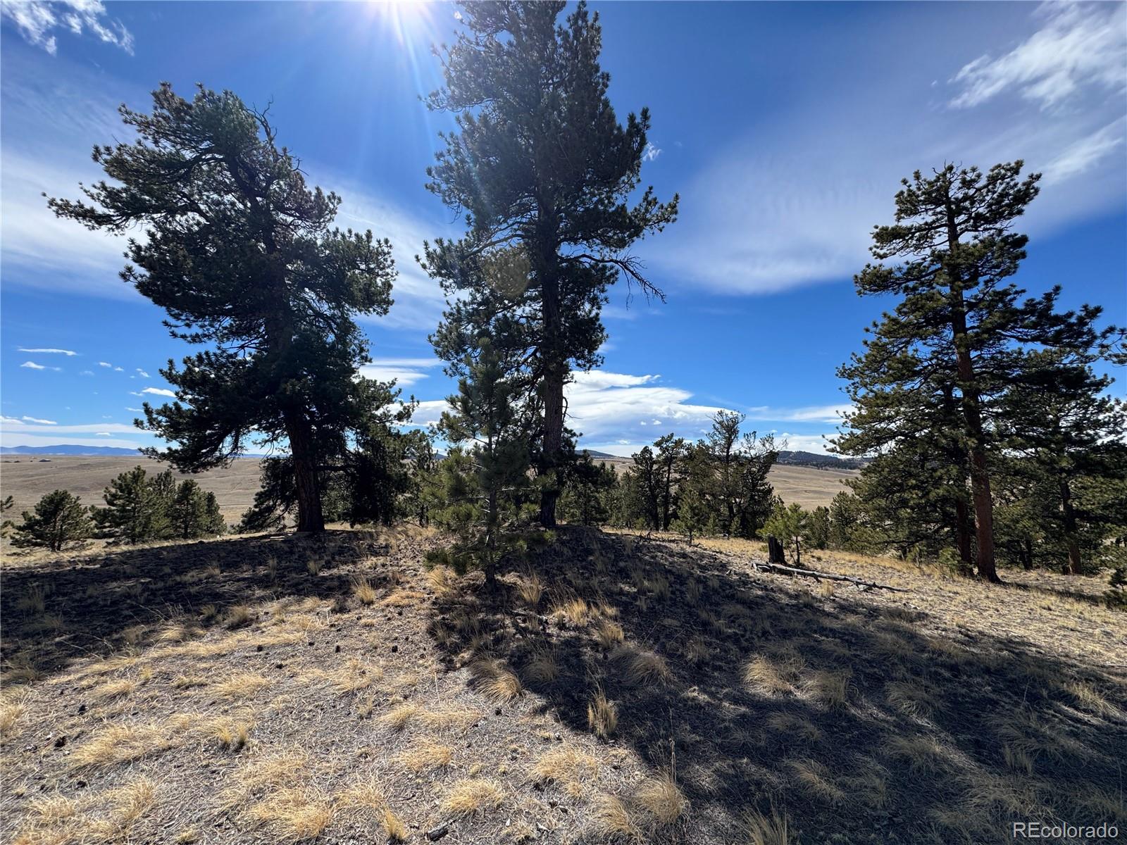 62 Powder Way Como, CO 80432 - Photo 2 of 7