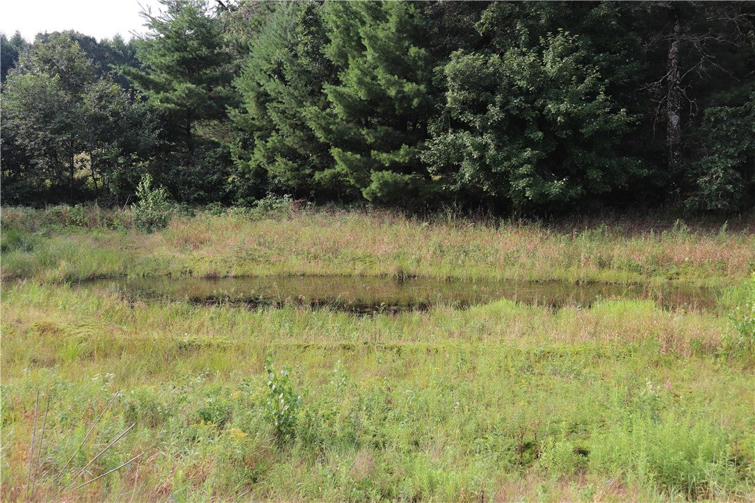 N12757 Rindahl Valley Road Osseo, WI 54758 - Photo 56 of 58 Gallery Image 56