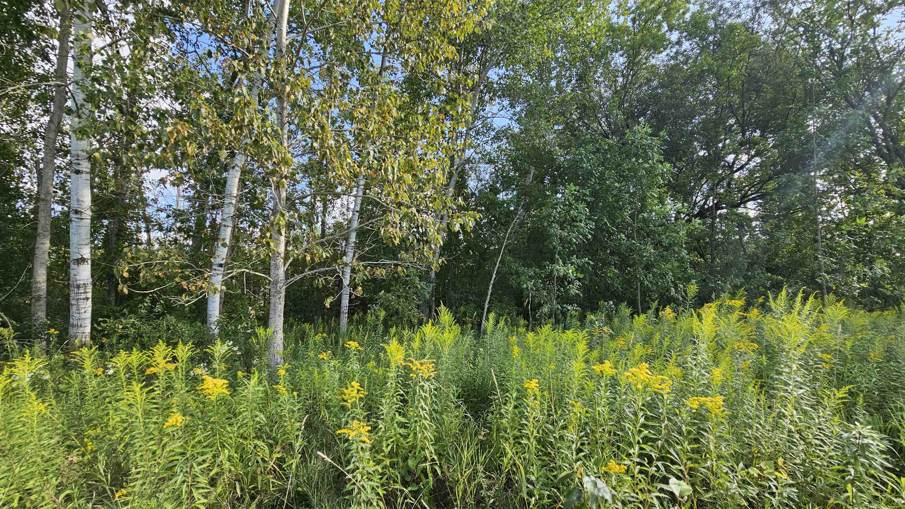 N/a N/a Maple Ridge Road, Unit ROSEBURGH Alger, MI 48610 - Photo 2 of 24