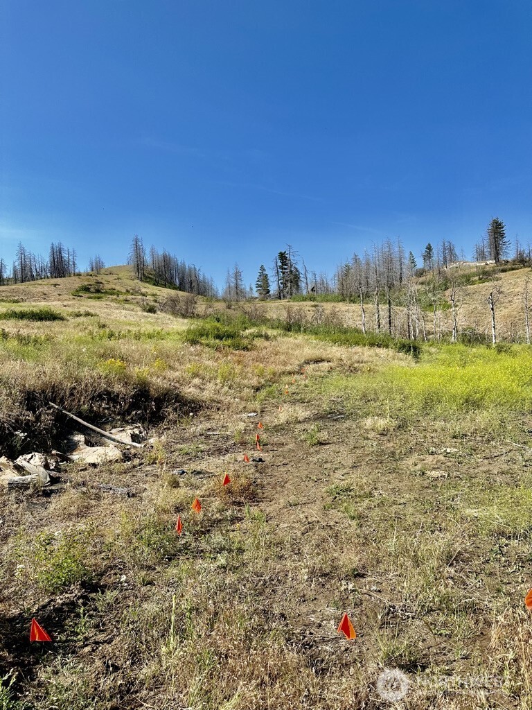 0 Eighme Road Oroville, WA 98844 - Photo 3 of 8 a view of an ocean and beach
