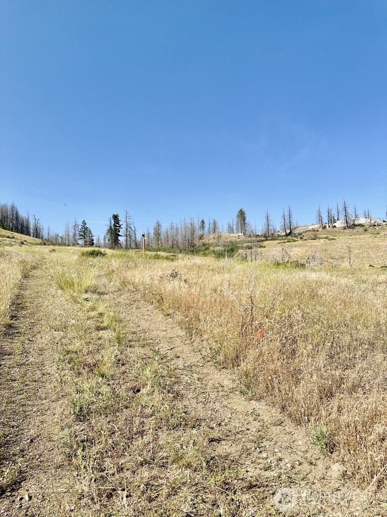 0 Eighme Road Oroville, WA 98844 - Photo 4 of 8 a view of an ocean view