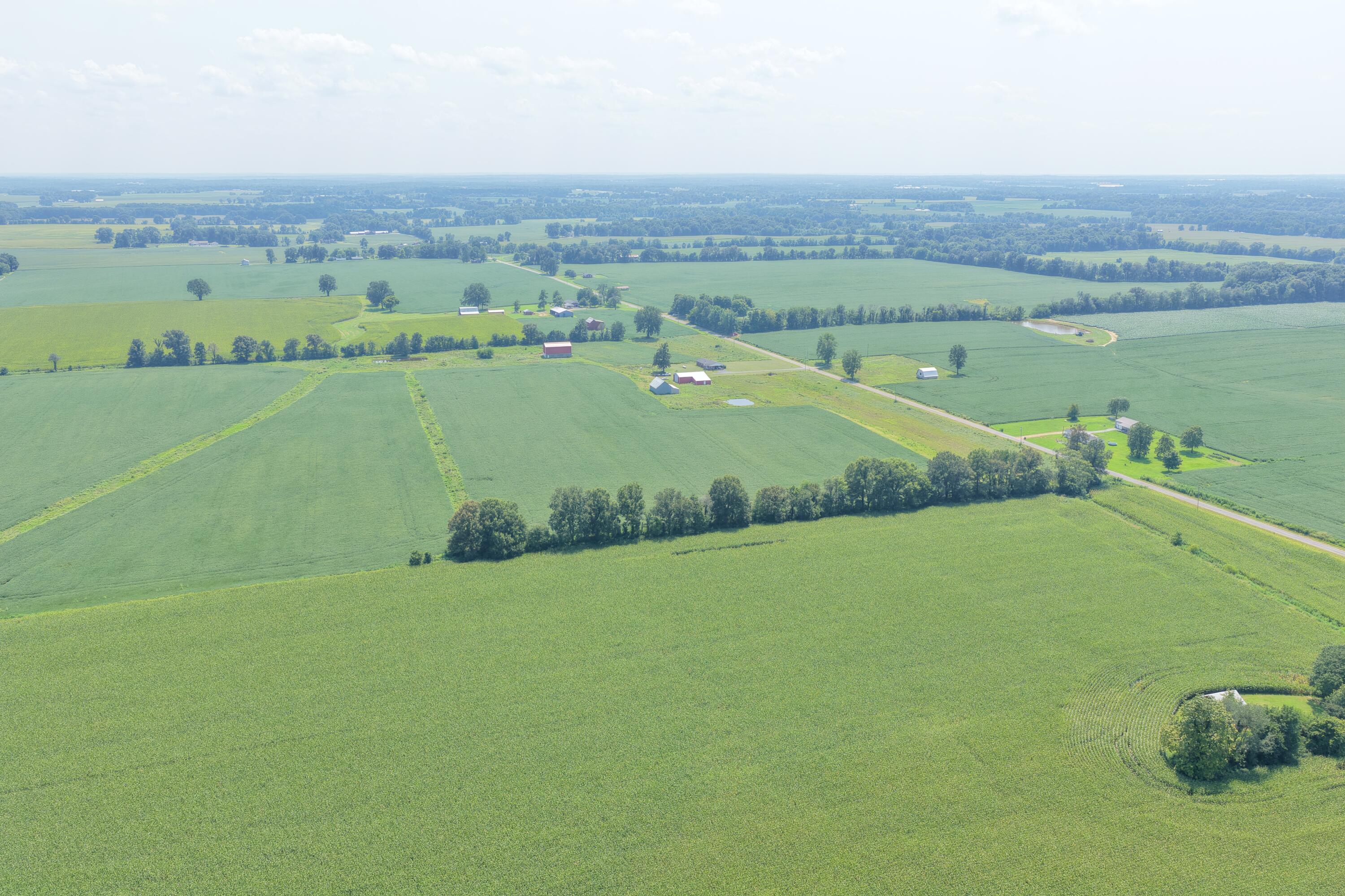 0 Beech Grove Road Farmington, KY 42040 - Photo 8 of 8 dji_fly_20260810_141334_0142_17863976839