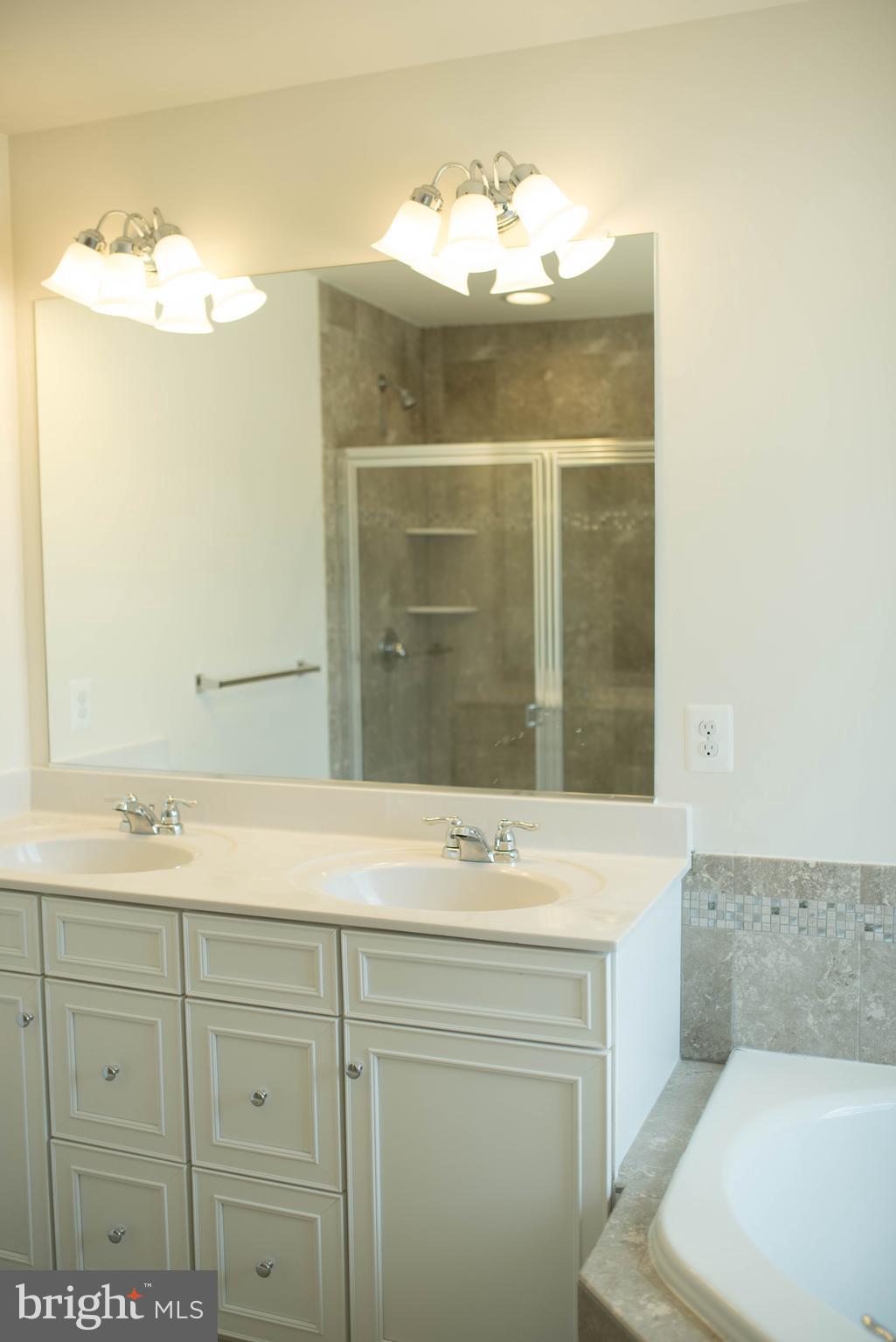 945 Morgan Run Road Baltimore, MD 21220 - Photo 13 of 14 Bath (Master)