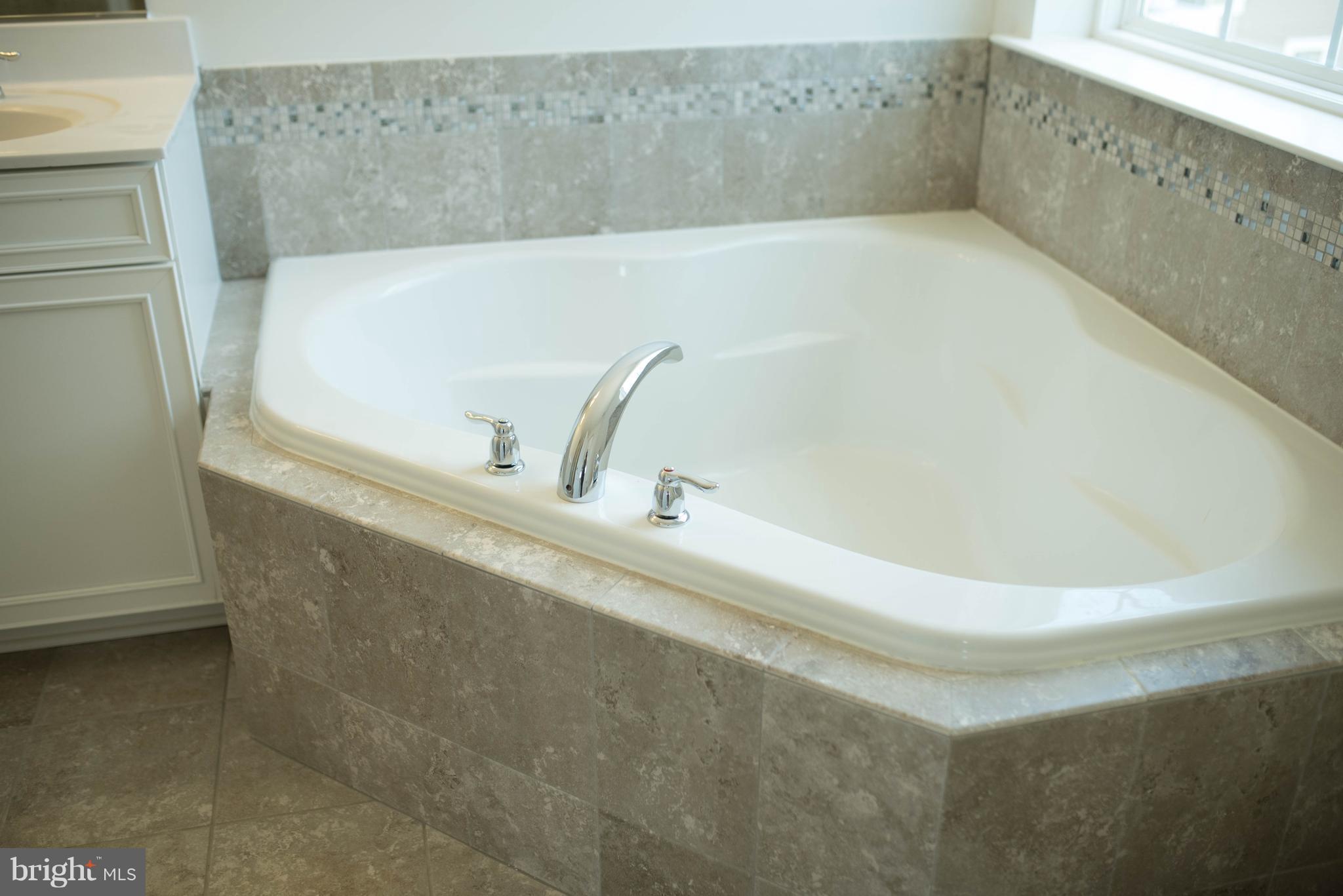 945 Morgan Run Road Baltimore, MD 21220 - Photo 14 of 14 Bath (Master)