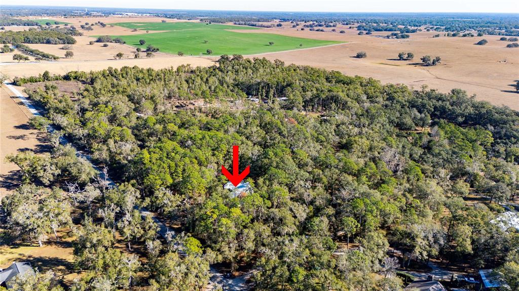 34106 Trilby Road Dade City, FL 33523 - Photo 13 of 39 a view of outdoor space and city view