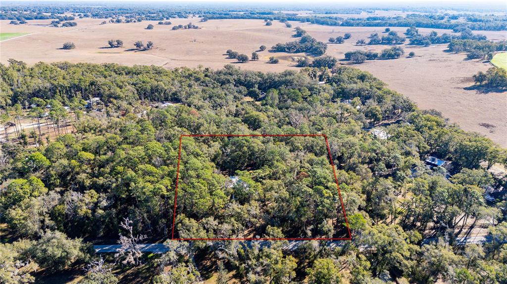 34106 Trilby Road Dade City, FL 33523 - Photo 15 of 39 a view of a city