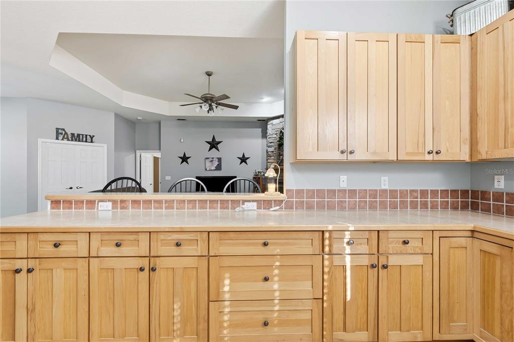 34106 Trilby Road Dade City, FL 33523 - Photo 26 of 39 a close view of sink and cabinets