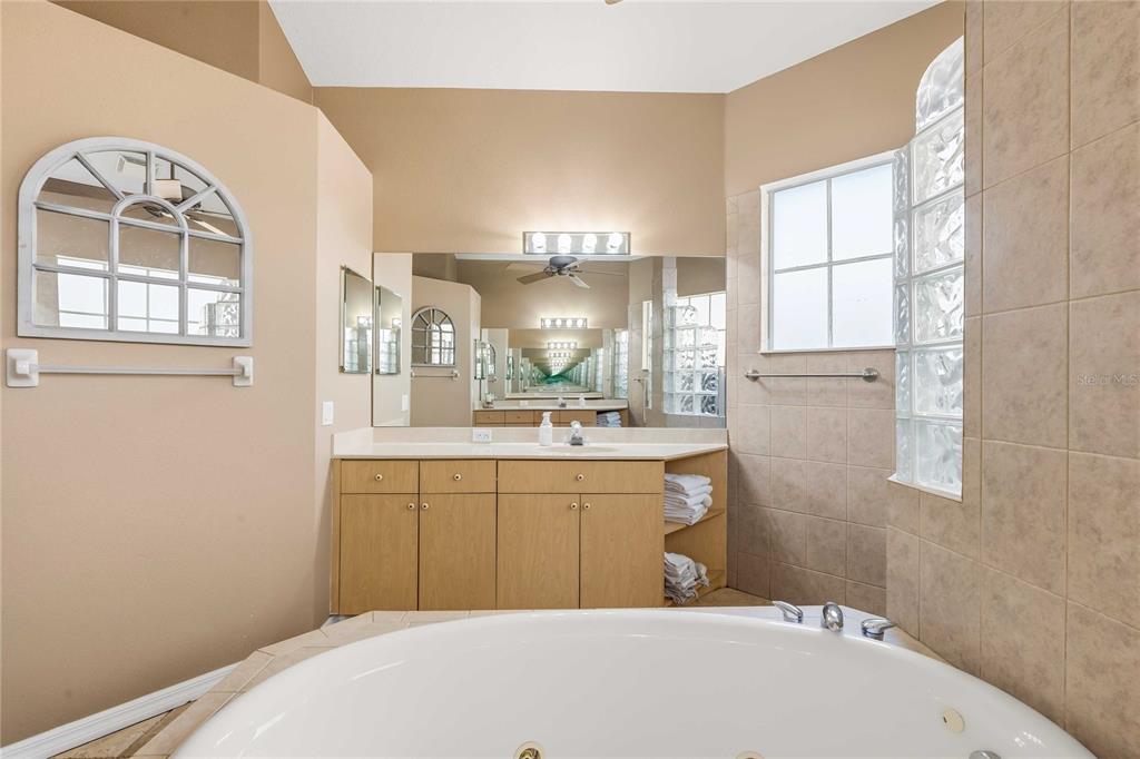 34106 Trilby Road Dade City, FL 33523 - Photo 30 of 39 a bathroom with a sink mirror and a bathtub