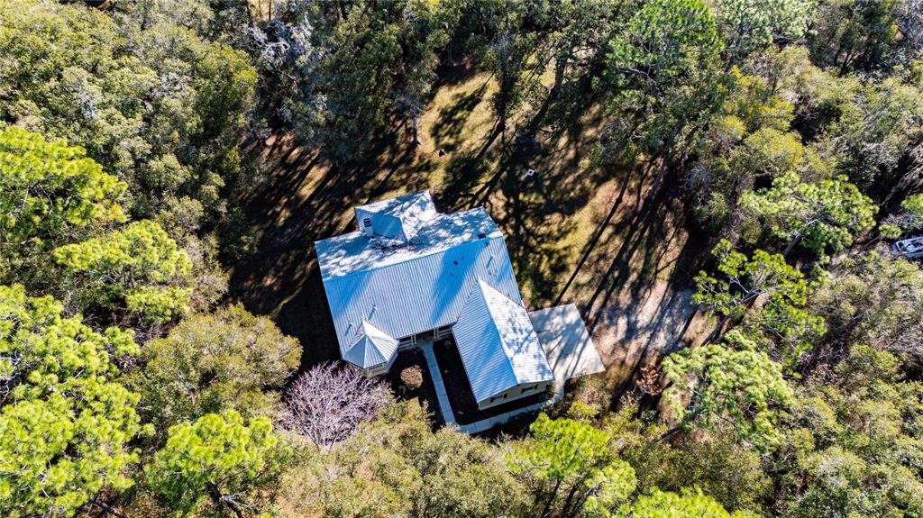 34106 Trilby Road Dade City, FL 33523 - Photo 3 of 39 a view of a backyard