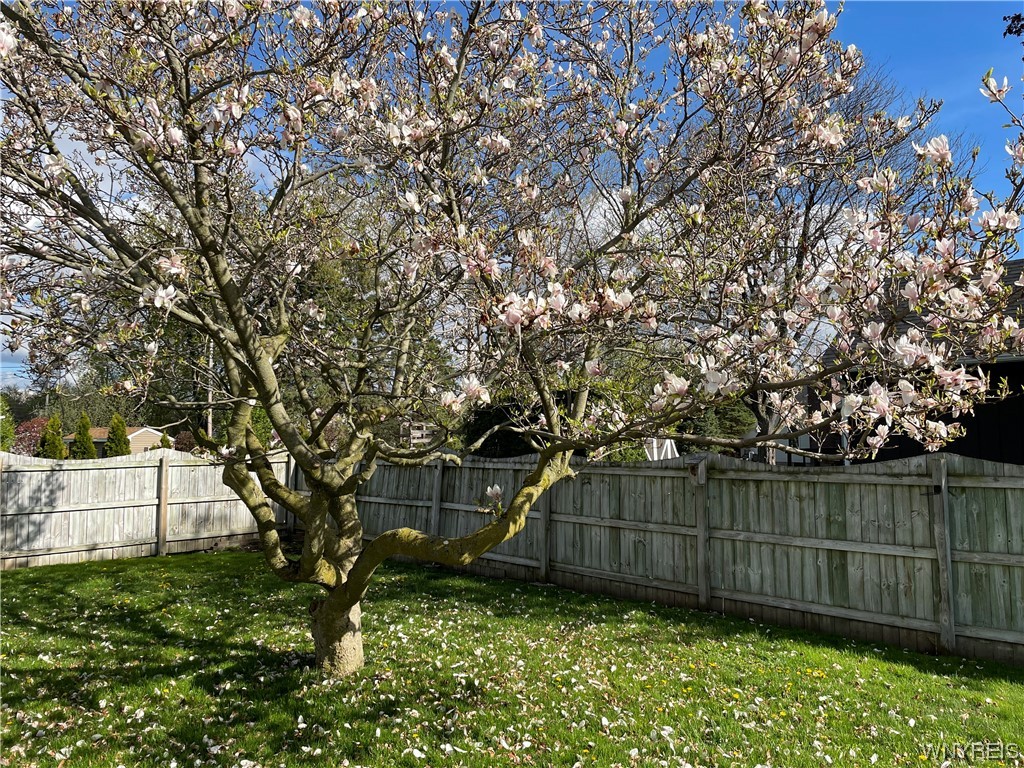 2 Fordham Drive Batavia City, NY 14020 - Photo 2 of 22