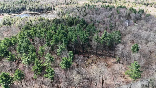 $69,900 | Lot 15 Dimmock Road, Otis, MA 01253