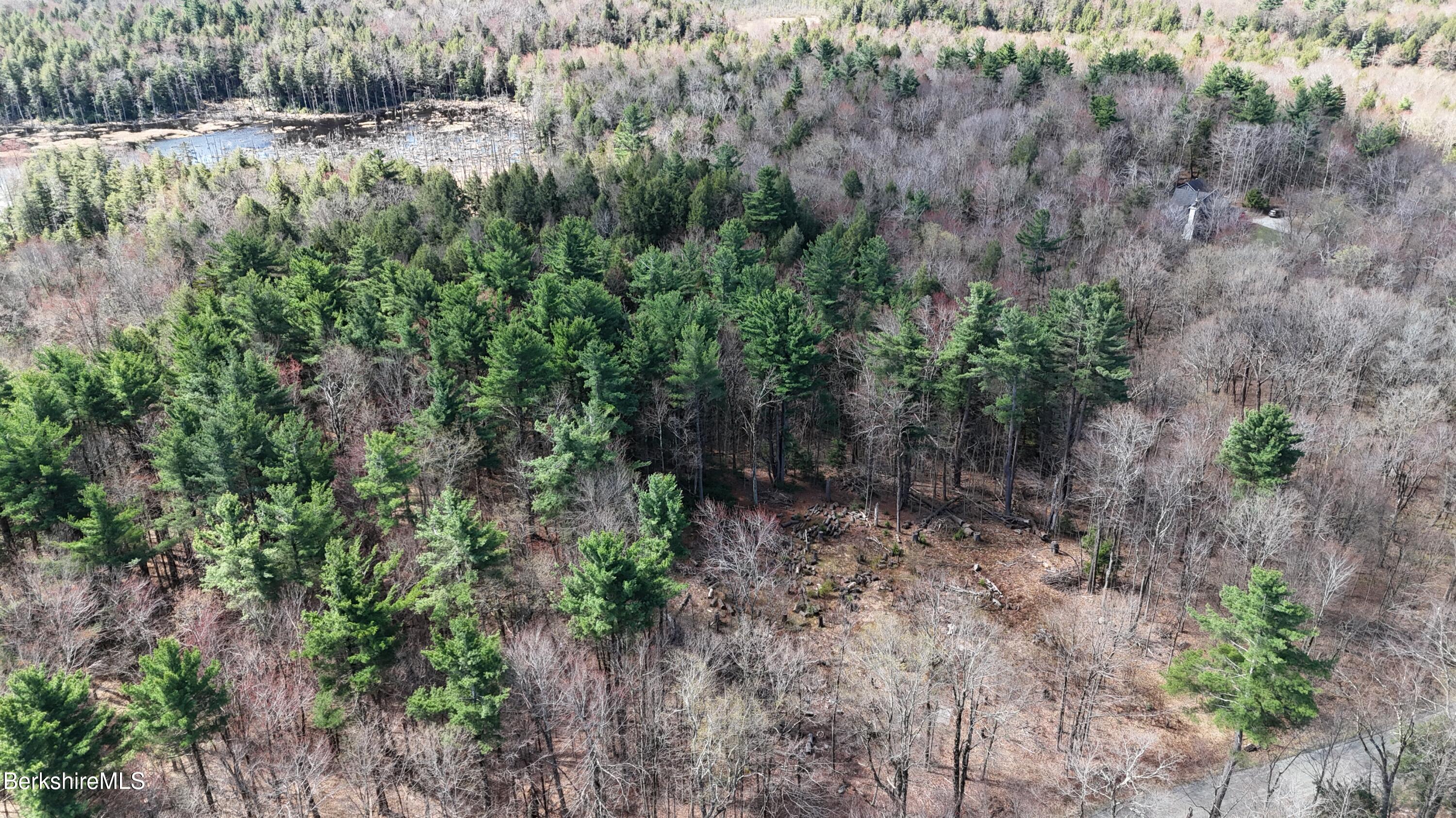 Drone view