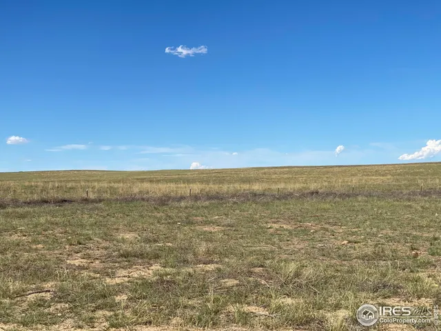a view of a dry yard with wooden fence