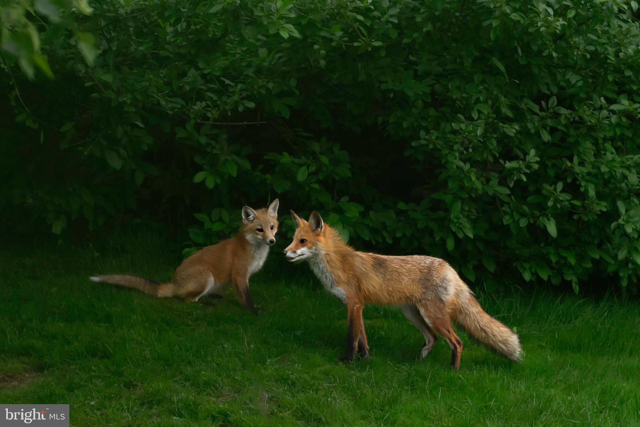 149 Splitrail Lane Blue Bell, PA 19422 - Photo 40 of 40 a view of an outdoor space and seating area
