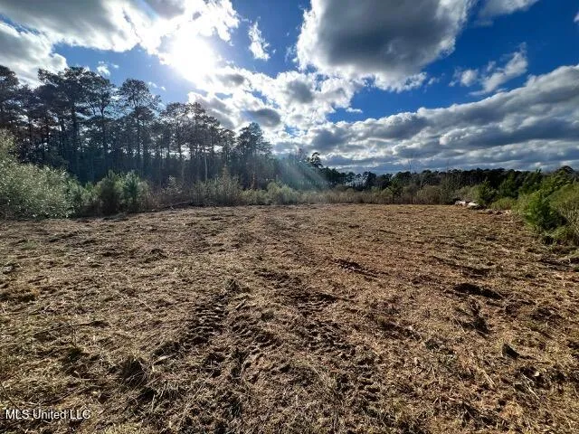 $262,675 | Tbd West Homochitto Road, Gloster, MS 39638