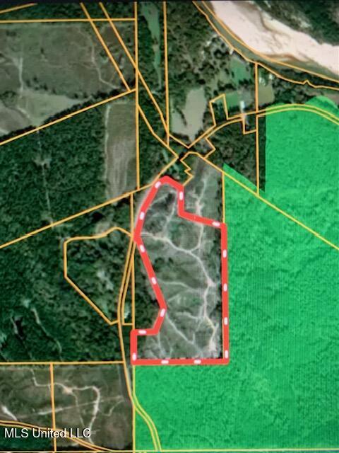 Tbd West Homochitto Road Gloster, MS 39638 - Photo 2 of 9 IMG_2993