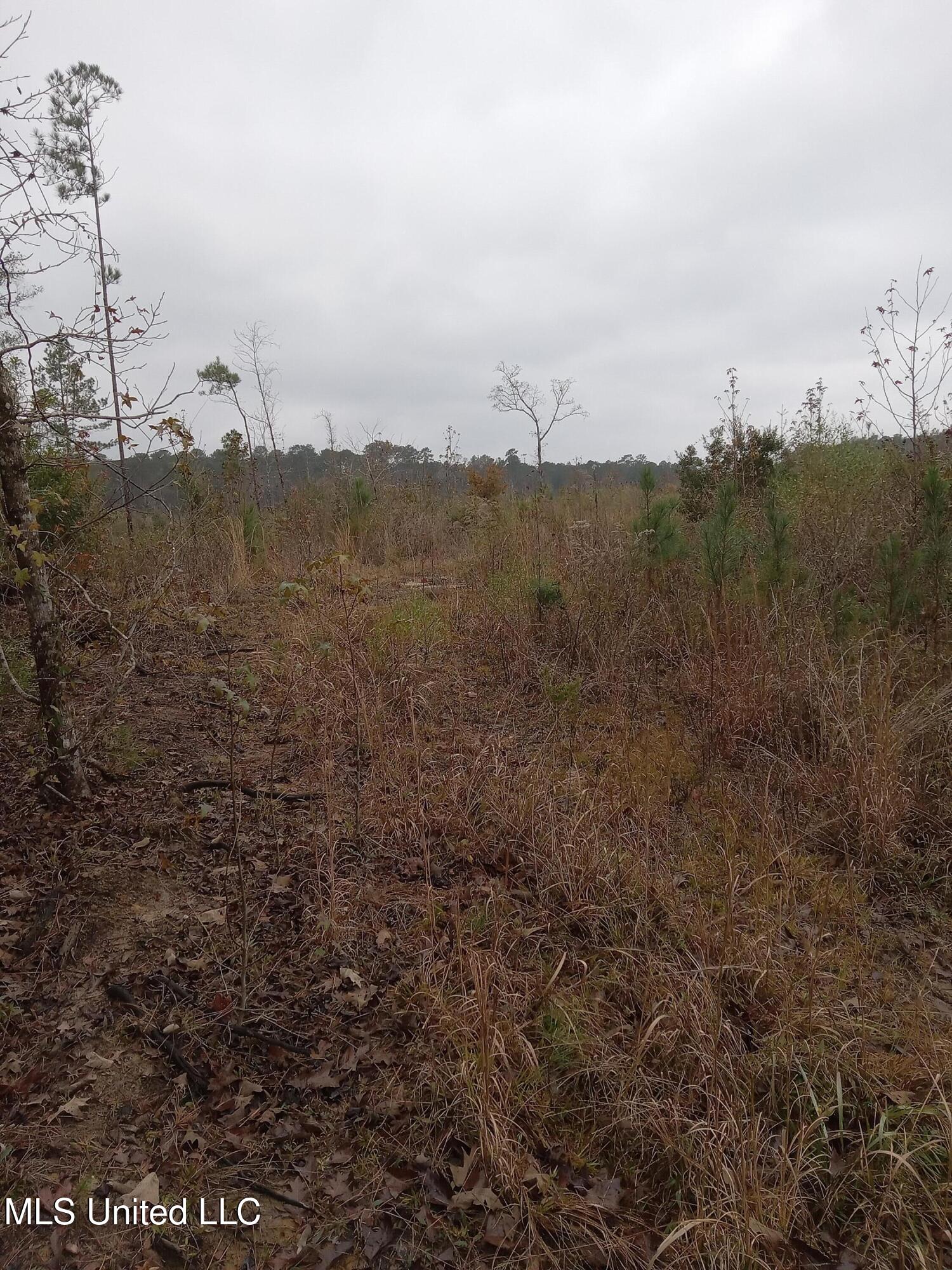 Tbd West Homochitto Road Gloster, MS 39638 - Photo 3 of 9 20251208_084523