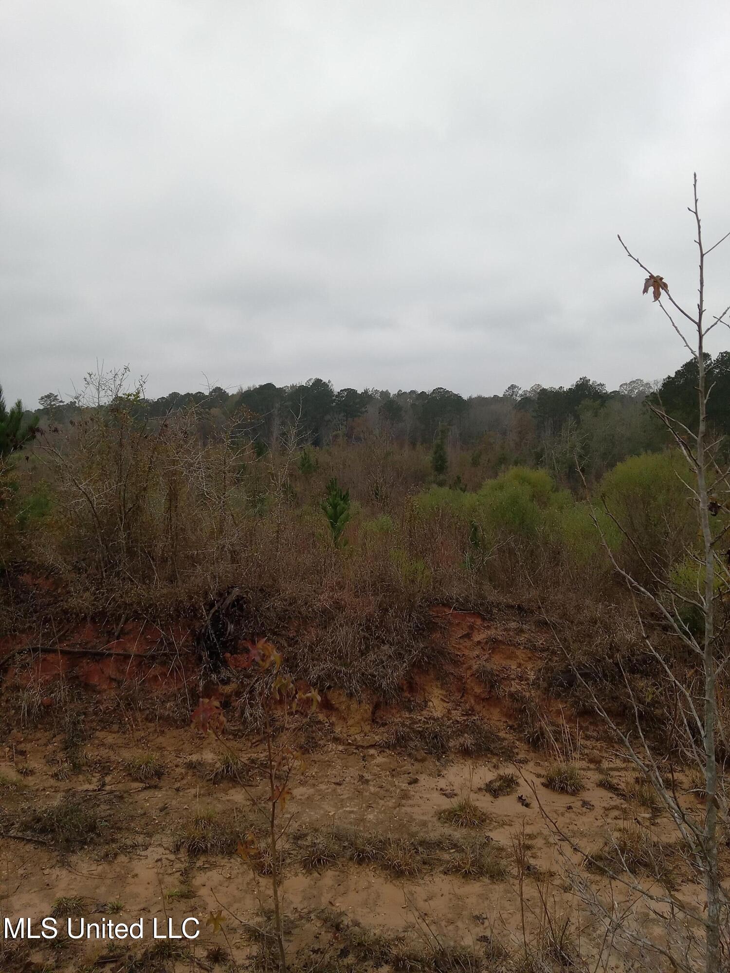 Tbd West Homochitto Road Gloster, MS 39638 - Photo 6 of 9 20251208_083414 (1)