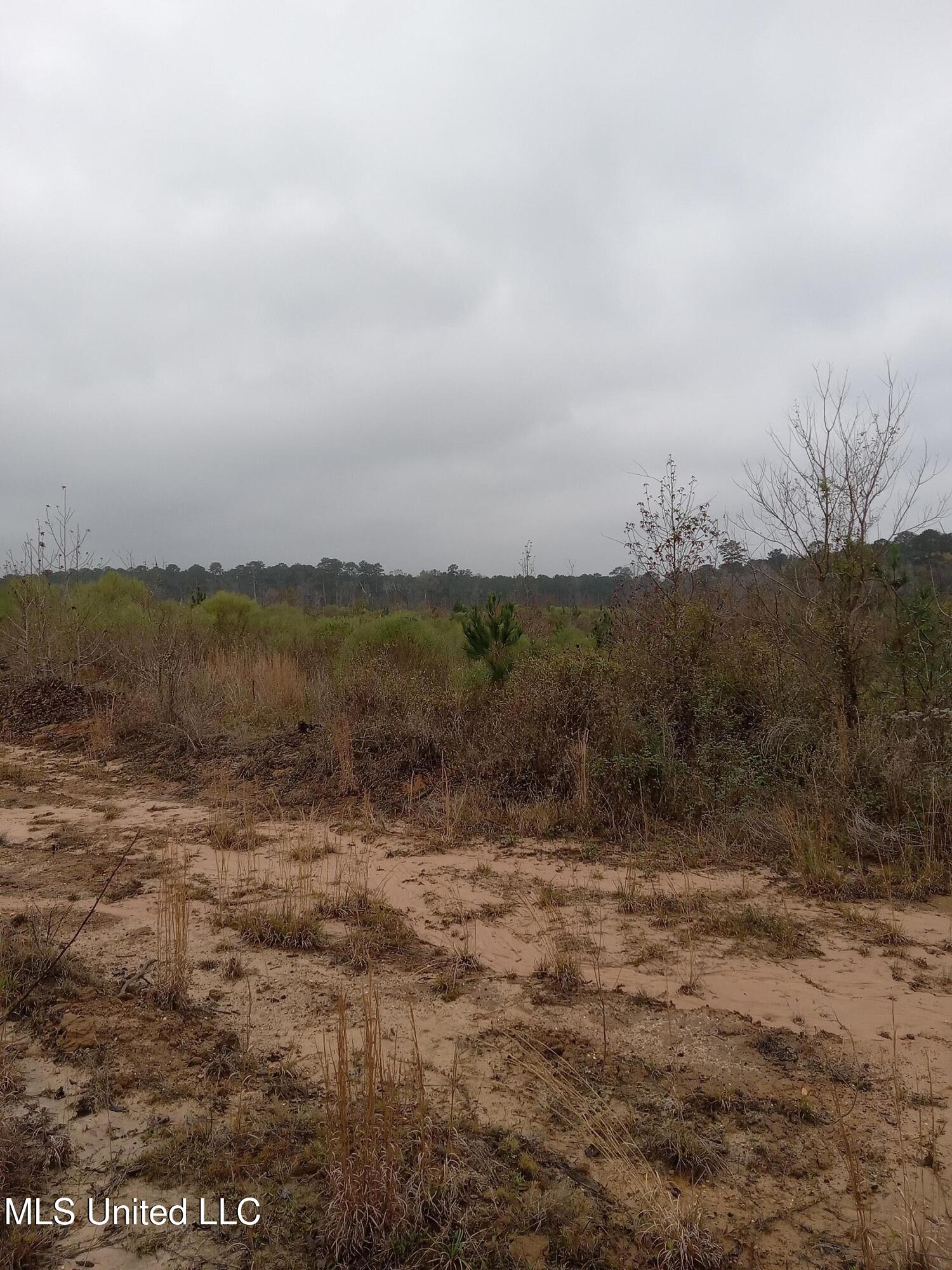 Tbd West Homochitto Road Gloster, MS 39638 - Photo 7 of 9 20251208_083316