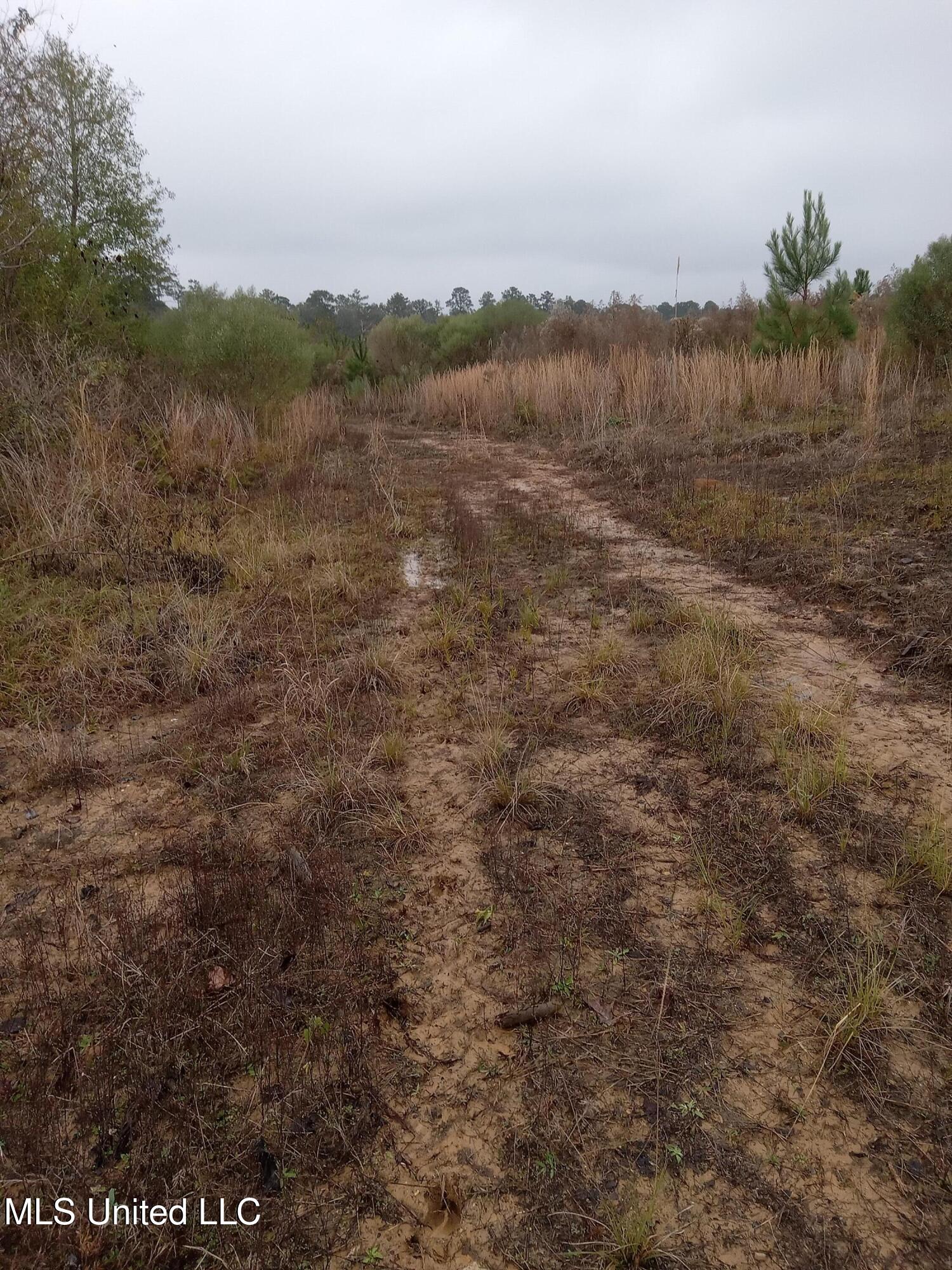 Tbd West Homochitto Road Gloster, MS 39638 - Photo 8 of 9 20251208_082944