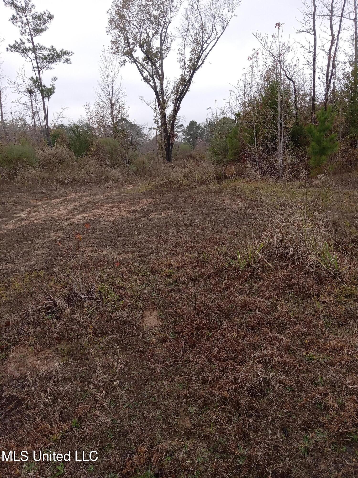 Tbd West Homochitto Road Gloster, MS 39638 - Photo 9 of 9 20251208_082905