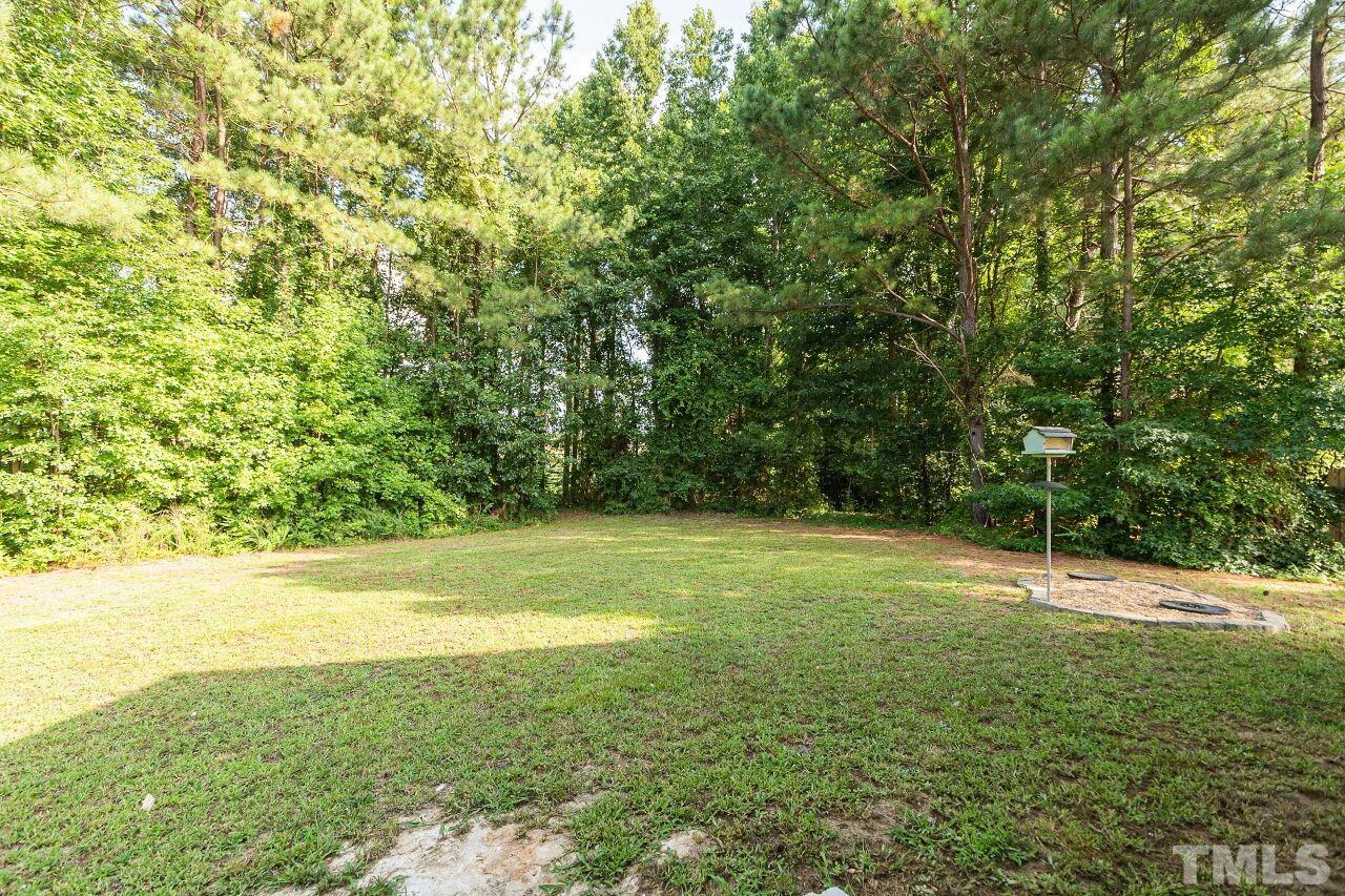 236 Saylor Ridge Lane Willow Spring, NC 27592 - Photo 33 of 34 Gallery Image 33