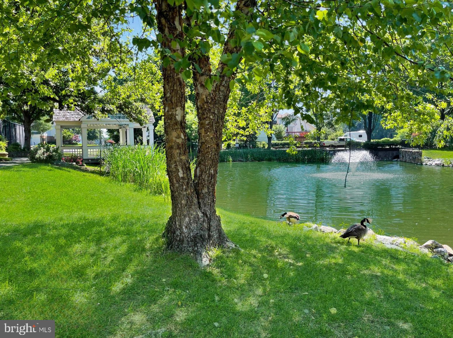 4600 King Duncan Road Alexandria, VA 22312 - Photo 26 of 27 a view of a lake with a house in the background