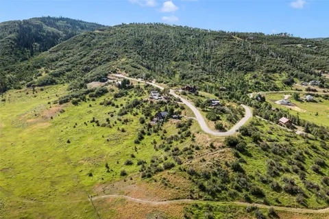 a view of a bunch of trees and bushes