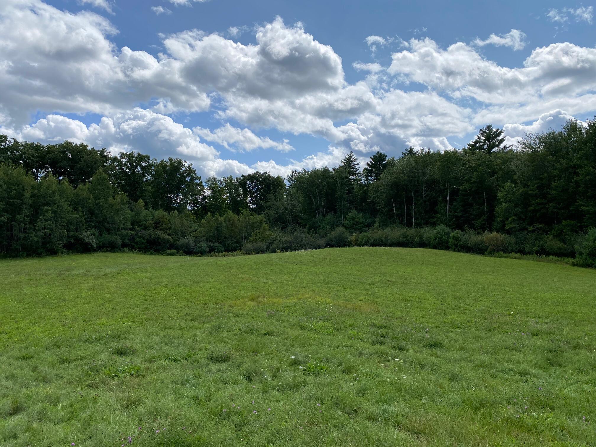0 Wood Road Gorham, ME 04038 - Photo 1 of 11 IMG_9836
