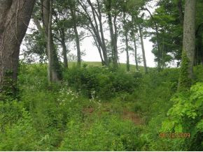 0 Buffalo Pond Road, Unit 1 Bristol, VA 24202 - Photo 1 of 5 Photo 1