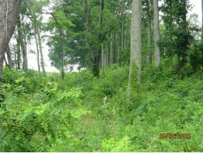 0 Buffalo Pond Road, Unit 1 Bristol, VA 24202 - Photo 4 of 5 Photo 4
