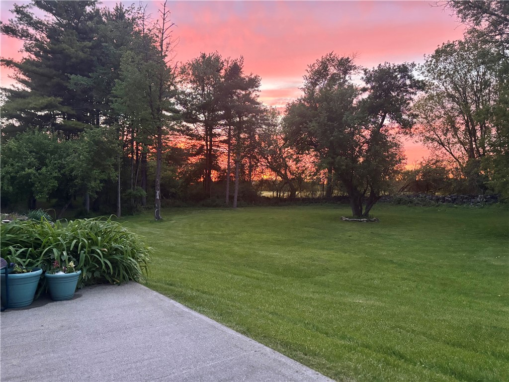 200 Spring Street Caledonia, NY 14423 - Photo 3 of 50