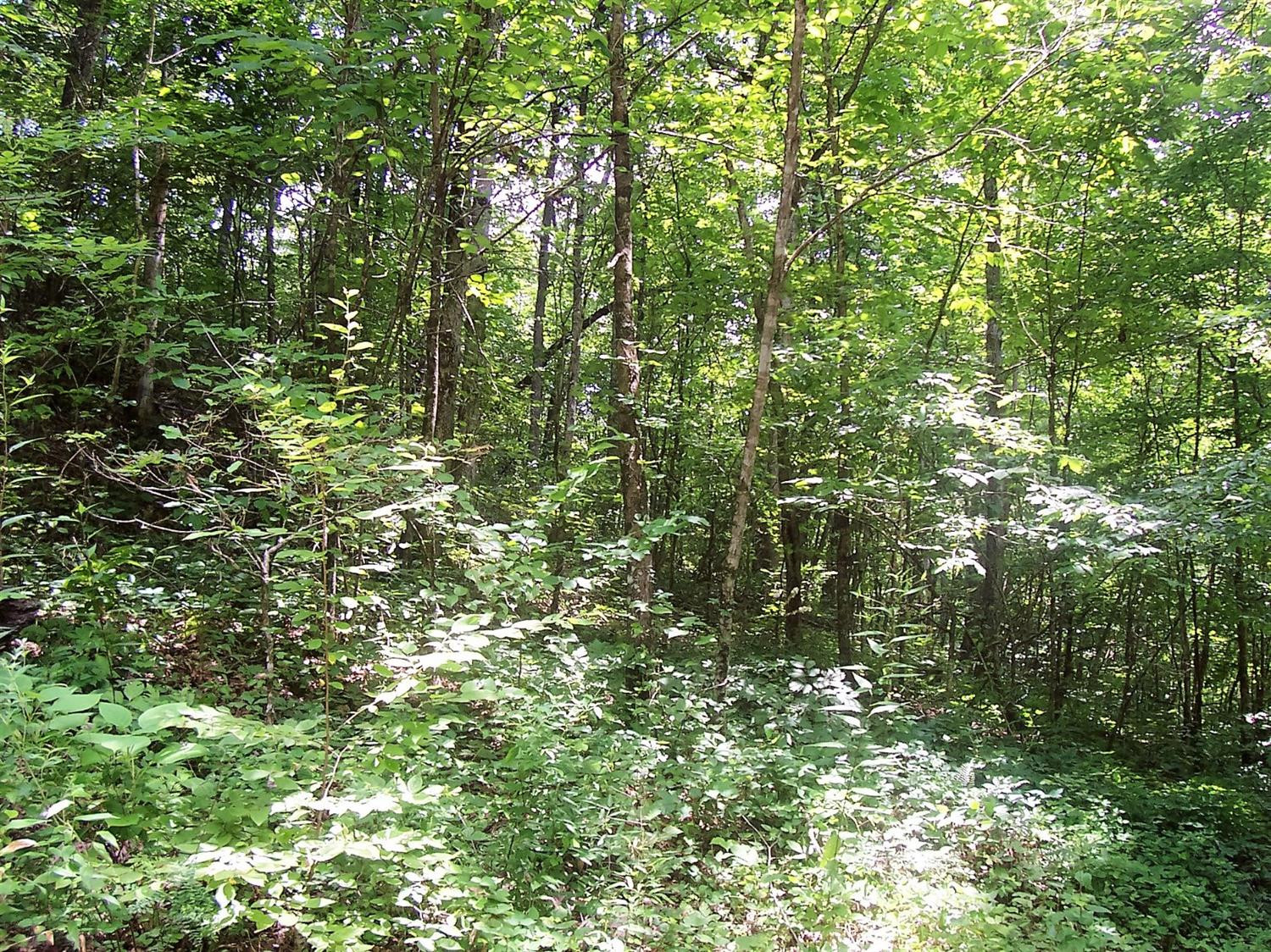 4236 Beech Timber Road Beattyville, KY 41311 - Photo 49 of 76 Photo 49