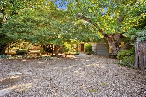 a view of a yard with plants and trees