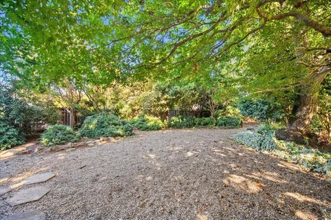a view of a backyard with large trees
