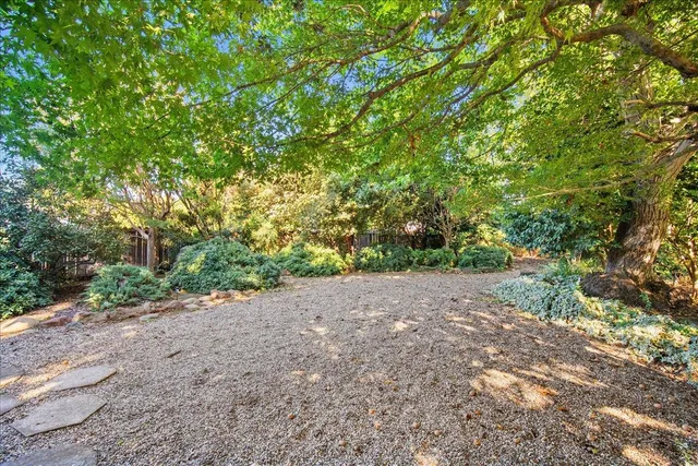 a view of a backyard with large trees