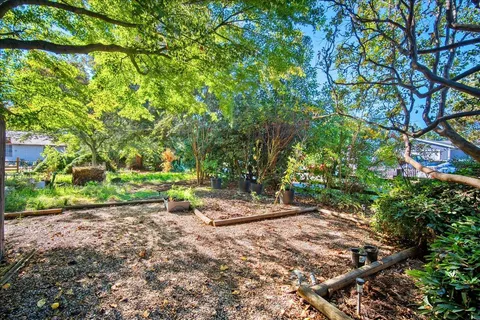 a view of a yard with large trees
