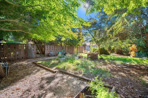 a childrens park with lots of trees