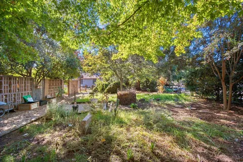 a view of a backyard with plants and a yard