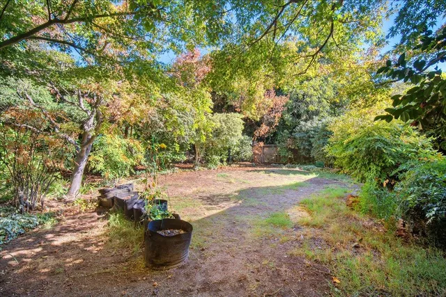 a view of a yard with a tree