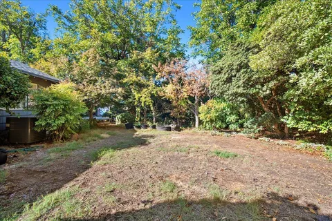 a view of yard with trees