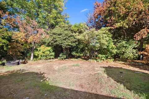 a view of a forest with trees