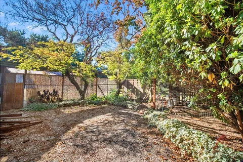 a view of a tree in the middle of a yard