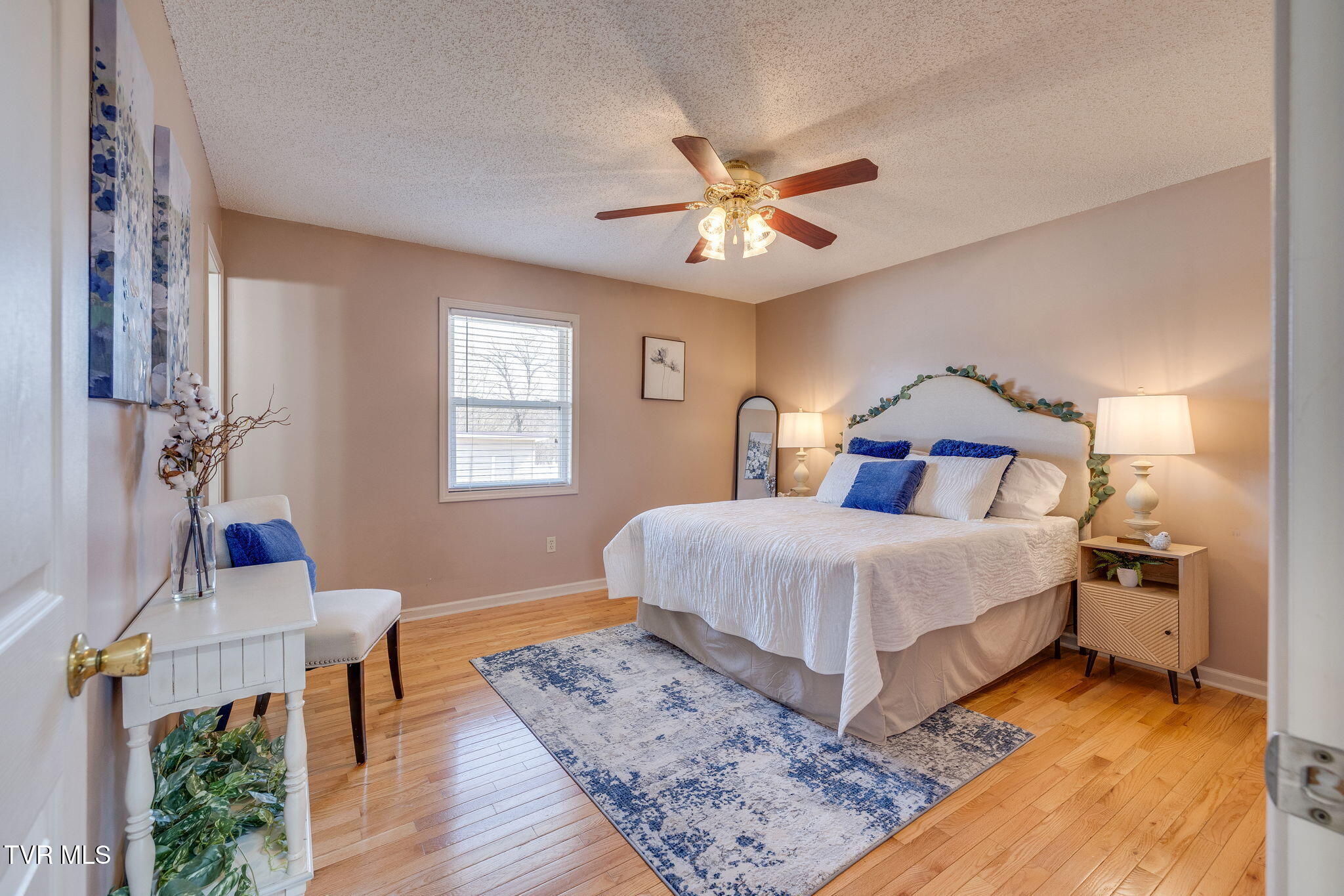 145 Morgan Lane Fall Branch, TN 37656 - Photo 11 of 29 016