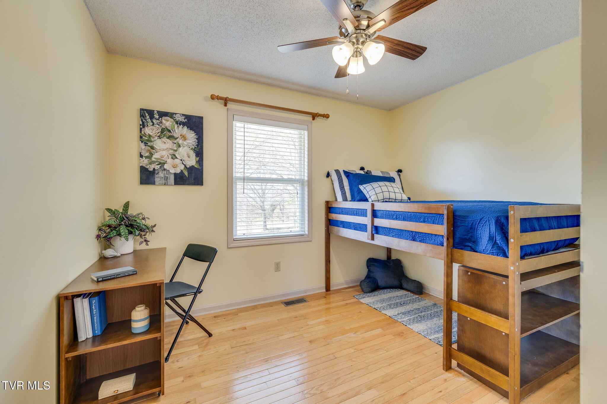 145 Morgan Lane Fall Branch, TN 37656 - Photo 14 of 29 020