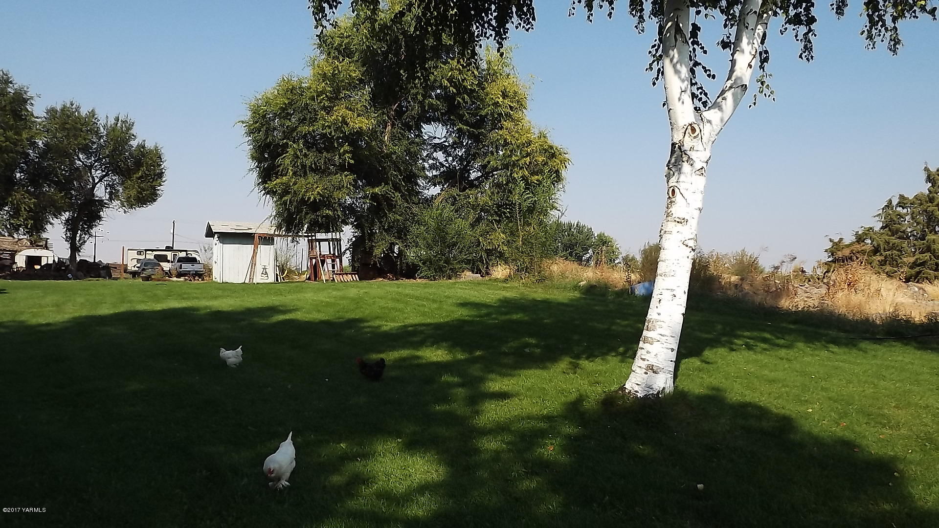 8401 North Missimer Road Prosser, WA 99350 - Photo 3 of 13 a backyard of a house with lots of green space