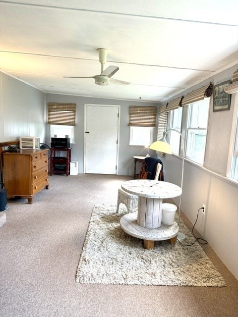 46 Teresa Road Hudson, MA 01749 - Photo 19 of 26