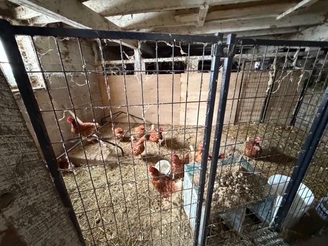 36658 Dogwood Road Lanesboro, MN 55949 - Photo 26 of 29