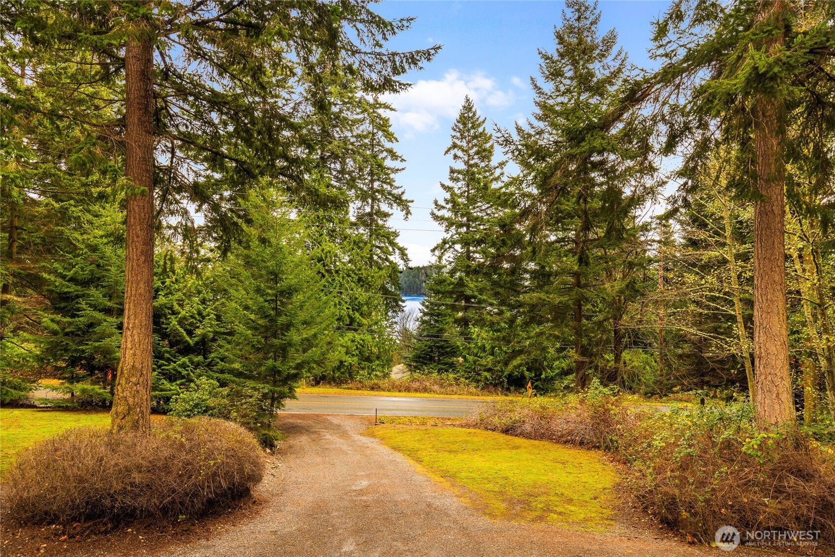 14638 Gibralter Road Anacortes, WA 98221 - Photo 18 of 25 a view of a yard with swimming pool